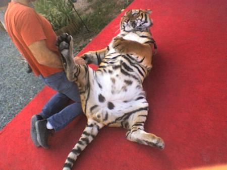 POSITION D'ATTAQUE !