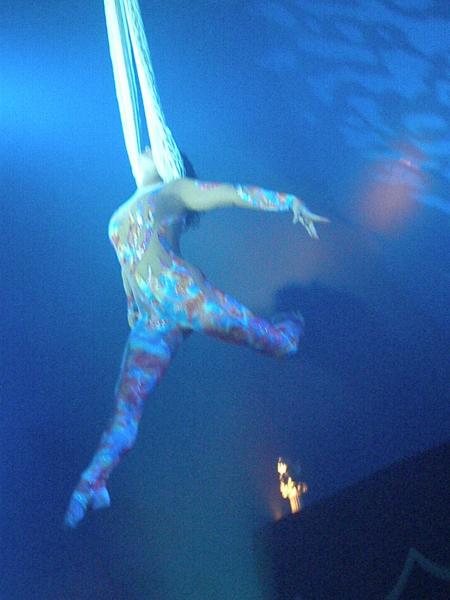 petite sirene